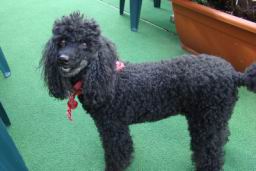 Resize of DSC04918.JPG